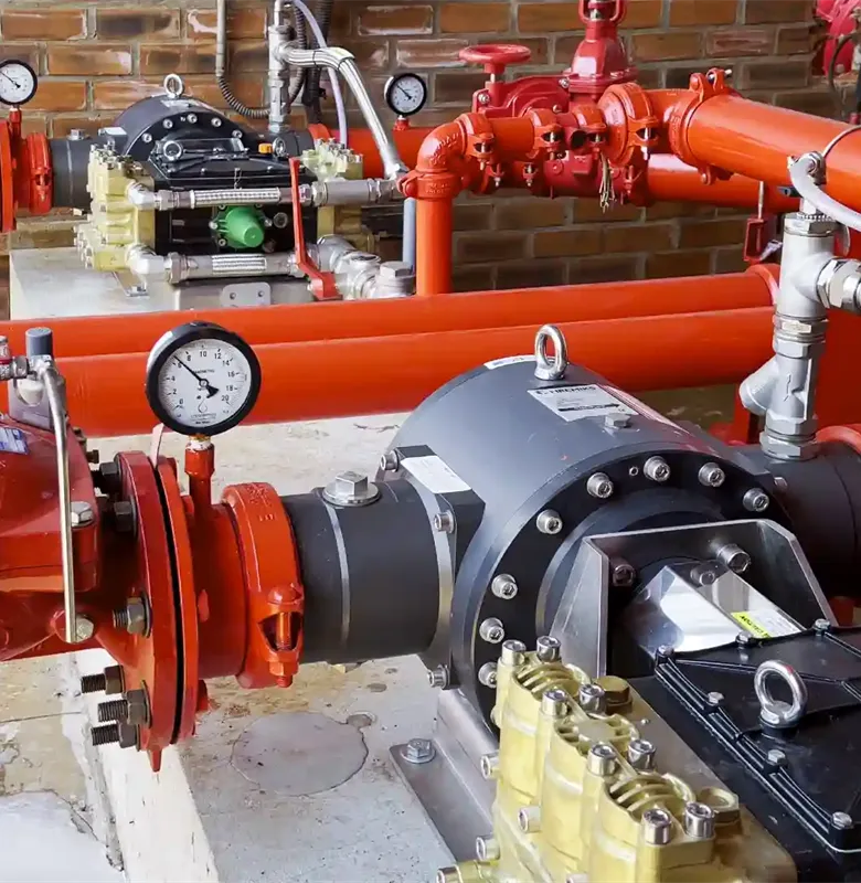 vlcsnap-2024-09-16-14h32m31s247