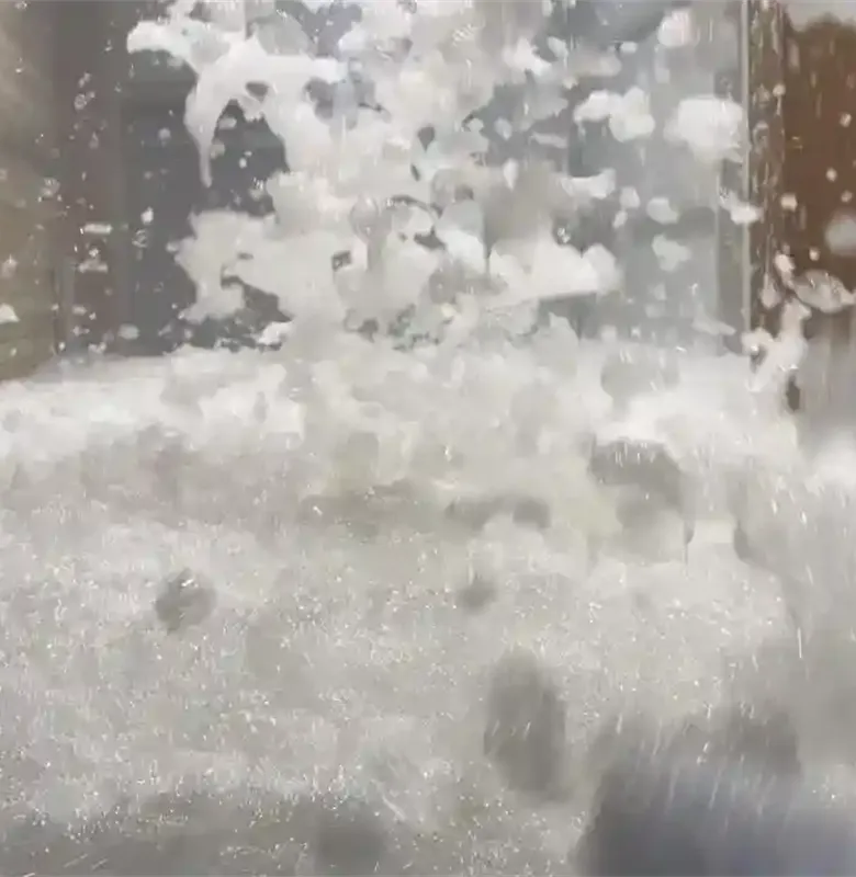 WhatsApp-Image-2020-10-08-at-08.51.04