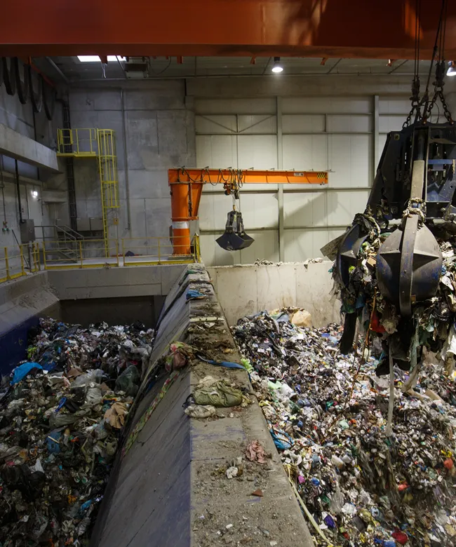 AdobeStock_251559332